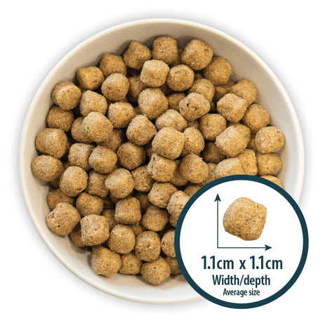 Burns Sensitive Fish & Wholegrain Maize Adult & Senior Dog Food - 6 kg