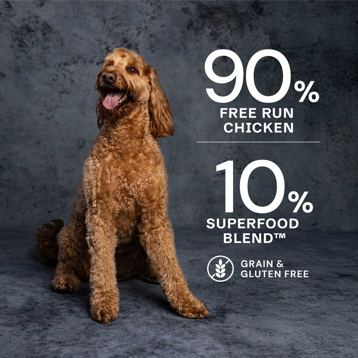 AATU Chicken Wet Dog Food Tins, AATU, 6*400g