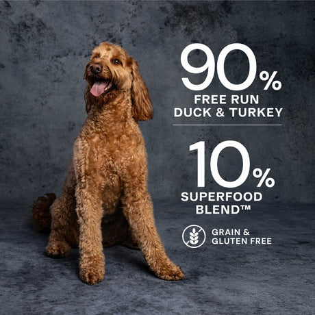 AATU Duck & Turkey Wet Dog Food, AATU, 6*400g