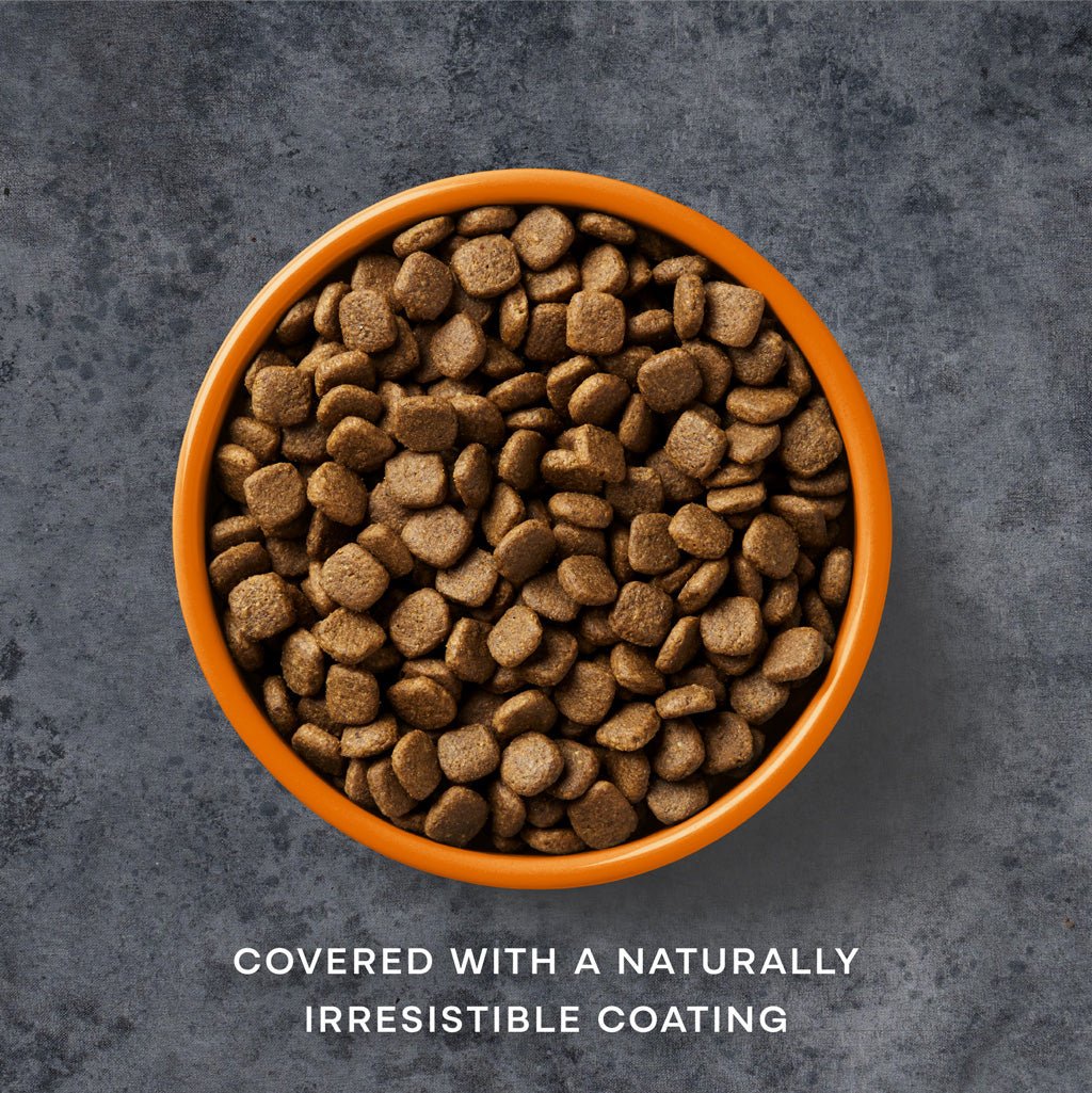 AATU Free Run Chicken Grain - Free Dry Dog Food, AATU, 1.5kg