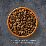 AATU Free Run Chicken Grain - Free Dry Dog Food, AATU, 1.5kg