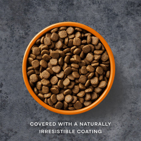 AATU Free Run Chicken Grain - Free Dry Dog Food, AATU, 1.5kg