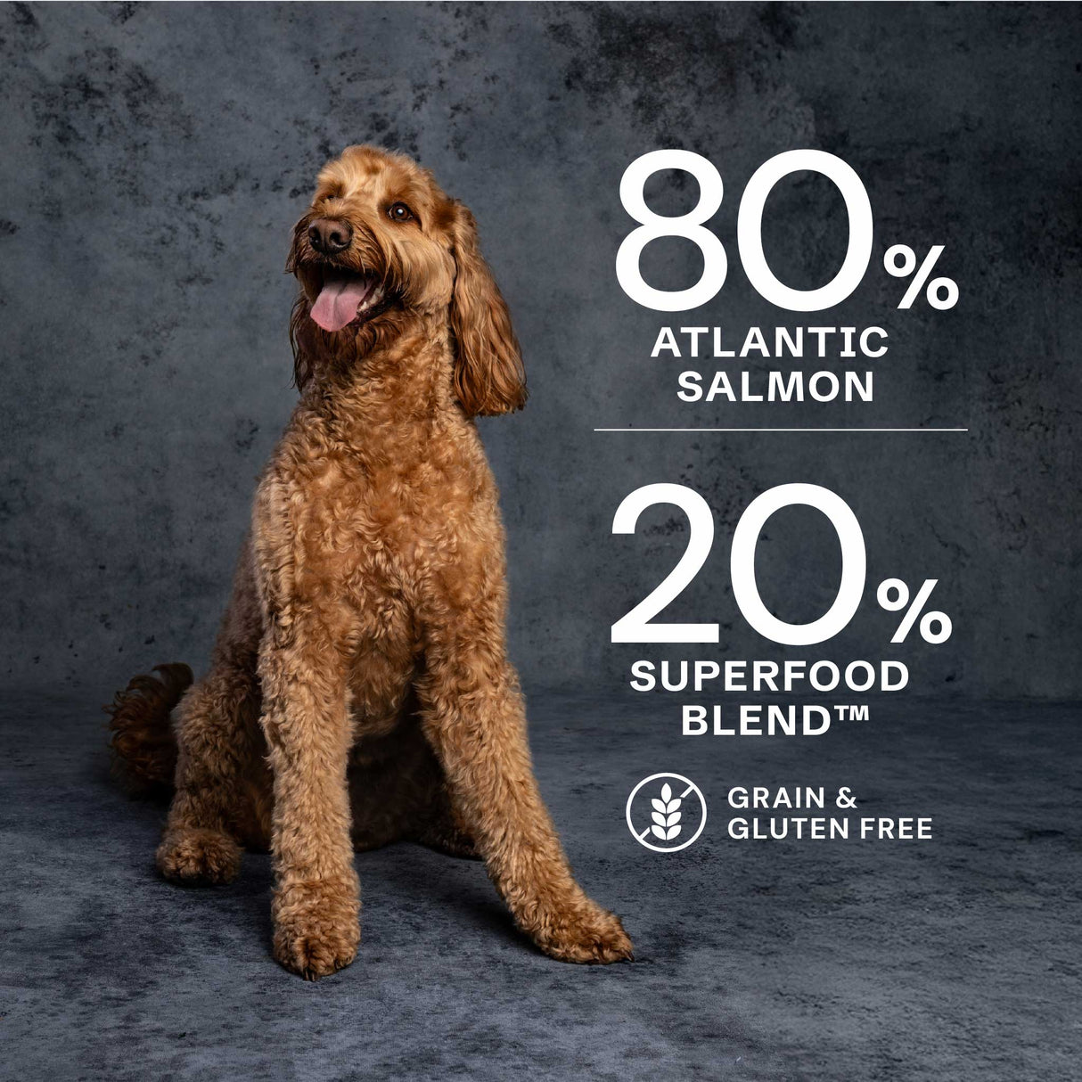 AATU Salmon Dry Dog Food, AATU, 1.5kg