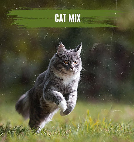 Alpha Cat Mix with Meat - 10 kg, Alpha,