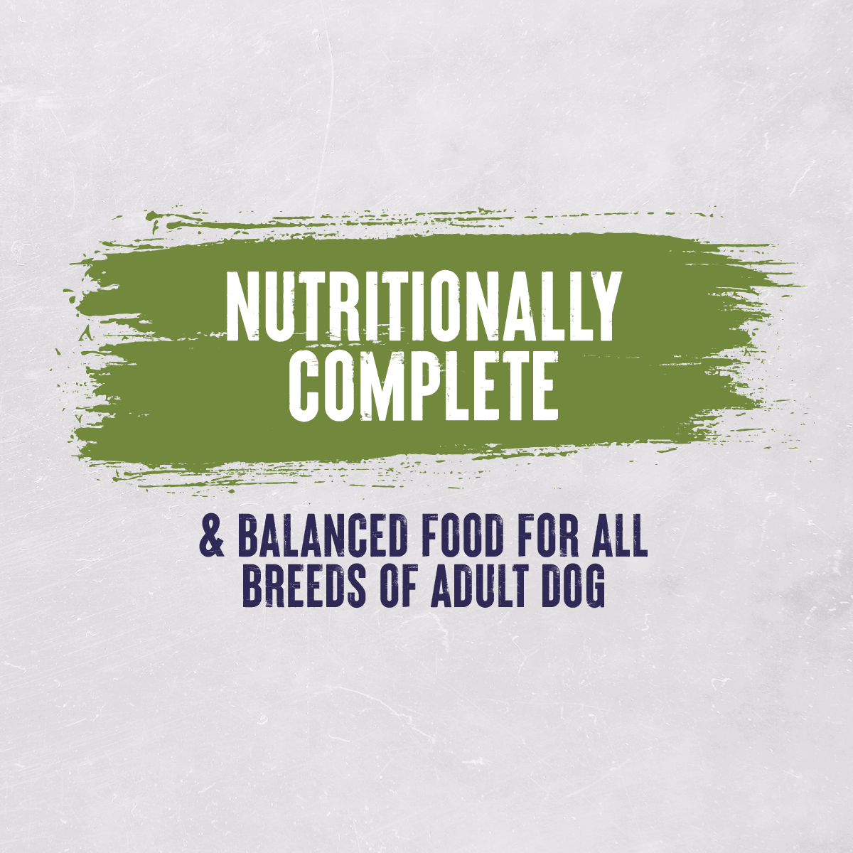 Alpha Everyday with Beef, Chicken & Veg Adult Dry Dog Food - 10 kg, Alpha,