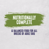Alpha Everyday with Beef, Chicken & Veg Adult Dry Dog Food - 10 kg, Alpha,