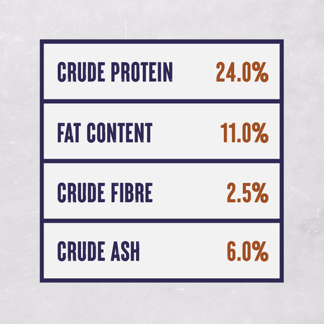 Alpha Junior & Sporting with Chicken & Rice Dry Dog Food - 15 kg, Alpha,