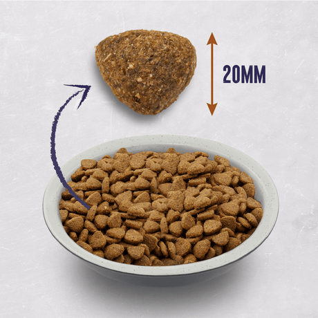 Alpha Junior & Sporting with Chicken & Rice Dry Dog Food - 15 kg, Alpha,