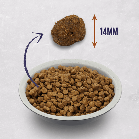 Alpha Performance 30% Protein Adult Dry Dog Food - 15kg, Alpha,