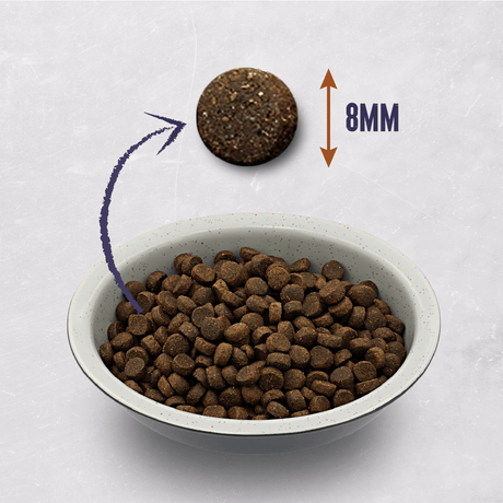 Alpha Sporting Puppy with Chicken & Rice Dry Dog Food, Alpha, 4 x 3 kg