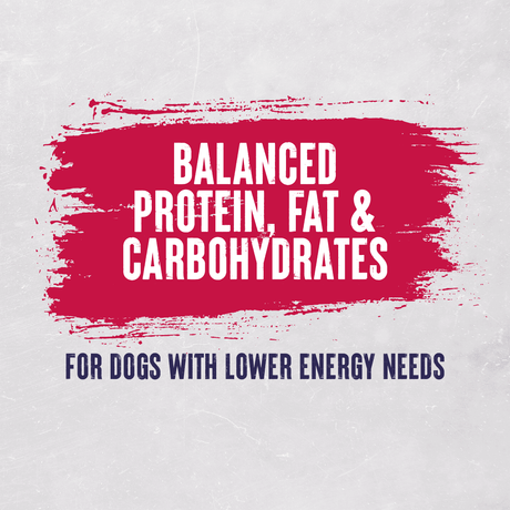 Alpha Working Maintenance with Beef Dry Adult Dry Dog Food - 15 kg, Alpha,