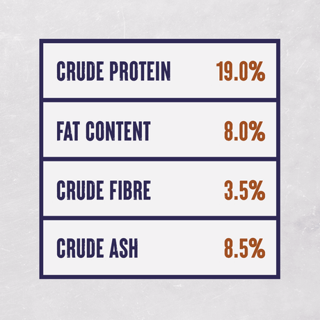 Alpha Working Maintenance with Beef Dry Adult Dry Dog Food - 15 kg, Alpha,