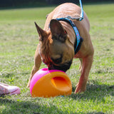 Ancol Örva Interactive Treat Ball, Ancol, Large