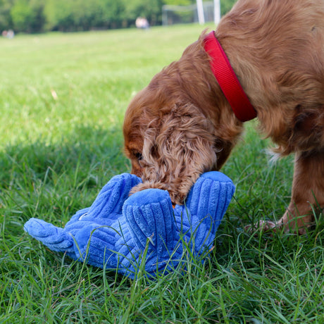 Ancol Örva Treat Tummy Elephant Dog Toy, Ancol,