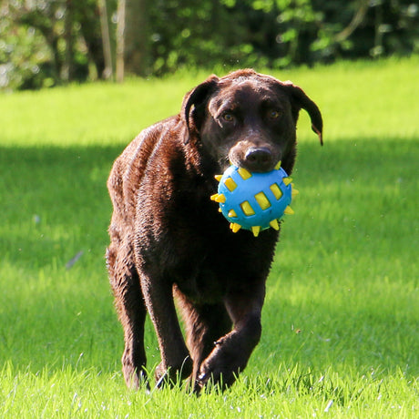 Ancol Playtime Chase Atomic Ball - x3 Dog Toys, Ancol,