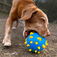 Ancol Playtime Chase Atomic Ball - x3 Dog Toys, Ancol,