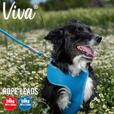 Ancol Viva Reflective Snap Dog Rope Lead, Ancol, Up to 30 kg