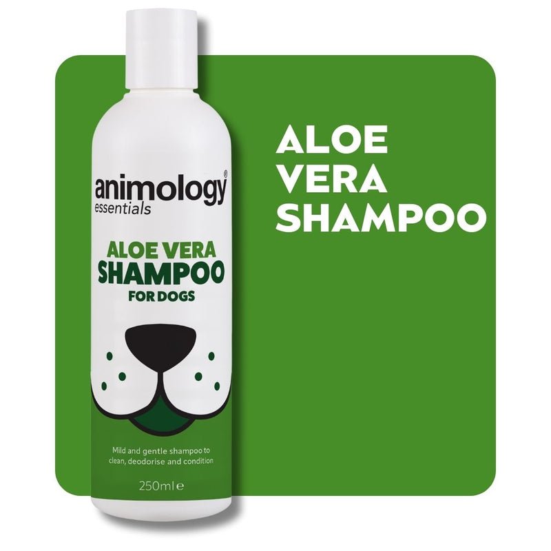 Animology Essentials Aloe Vera Shampoo for Dogs 5x250ml, Animology,