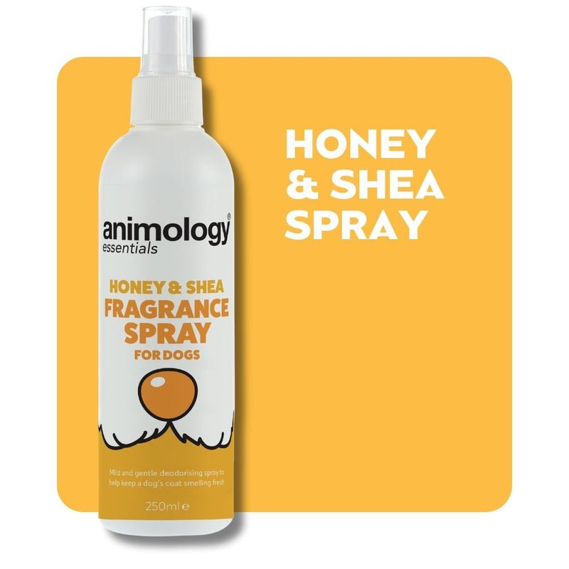 Animology Essentials Honey & Shea Fragrance Spray - 250ml x 5, Animology,