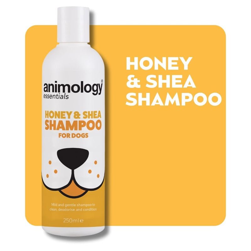 Animology Essentials Honey & Shea Shampoo for Dogs 5x250ml, Animology,