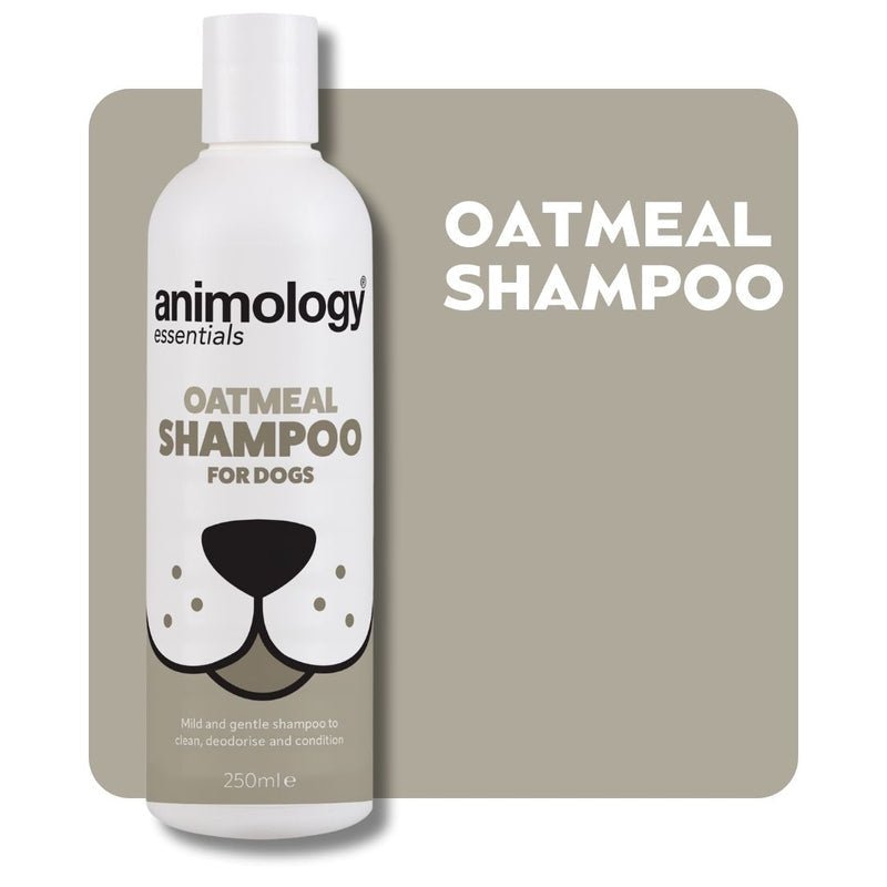 Animology Essentials Oatmeal Shampoo for Dogs 5x250ml, Animology,