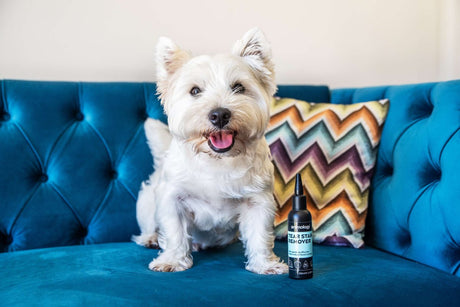 Animology Tear Stain Remover - 6 x 100ml, Animology,