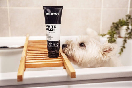 Animology White Wash Dog Shampoo - 6 x 250ml, Animology,