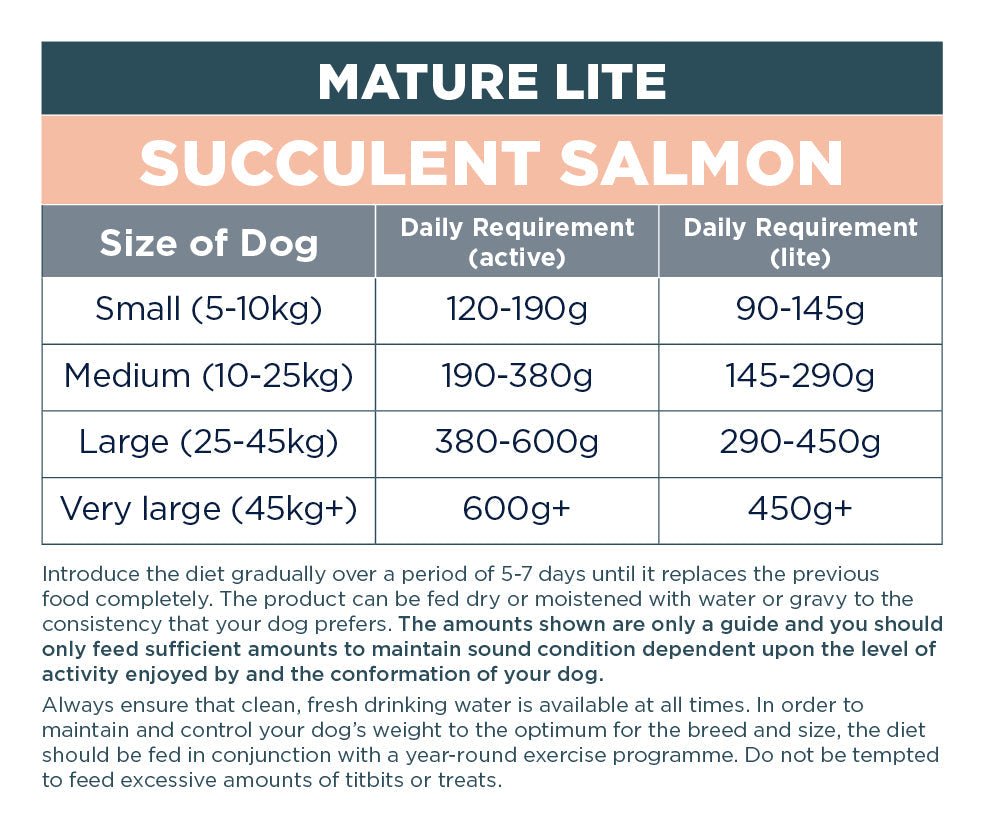 Autarky Mature Lite Succulent Salmon Dry Dog Food, Autarky, 2 kg