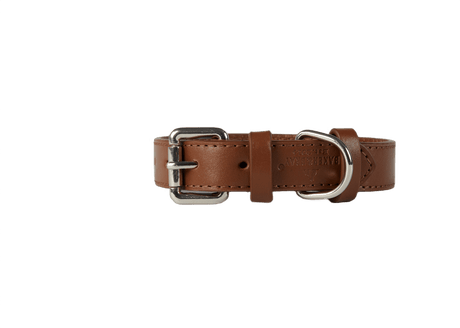 Baker & Bray Brown Eco Friendly Leather Dog Collar, Baker & Bray, XS
