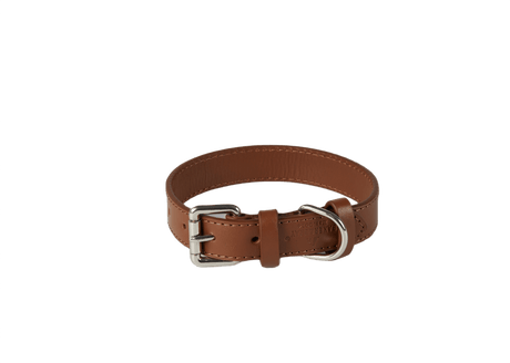 Baker & Bray Brown Eco Friendly Leather Dog Collar, Baker & Bray, XS