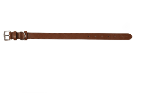 Baker & Bray Brown Eco Friendly Leather Dog Collar, Baker & Bray, XS