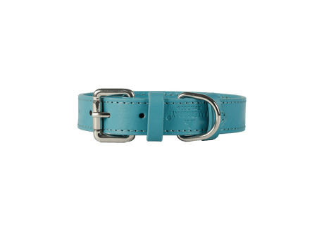 Baker & Bray Lagoon Eco Friendly Leather Dog Collar, Baker & Bray, XS