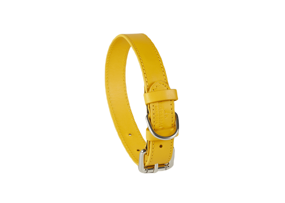 Baker & Bray Lemon Eco Friendly Leather Dog Collar, Baker & Bray, XS