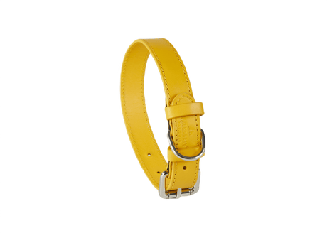 Baker & Bray Lemon Eco Friendly Leather Dog Collar, Baker & Bray, XS