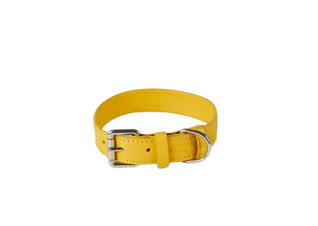 Baker & Bray Lemon Eco Friendly Leather Dog Collar, Baker & Bray, XS