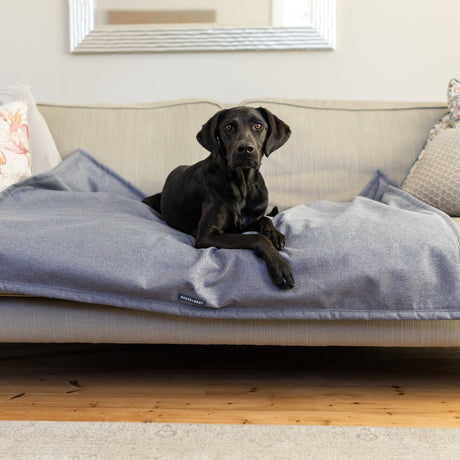 Baker & Bray Luxury Temperature Regulating Throw Dog Blanket, Baker & Bray, Regular