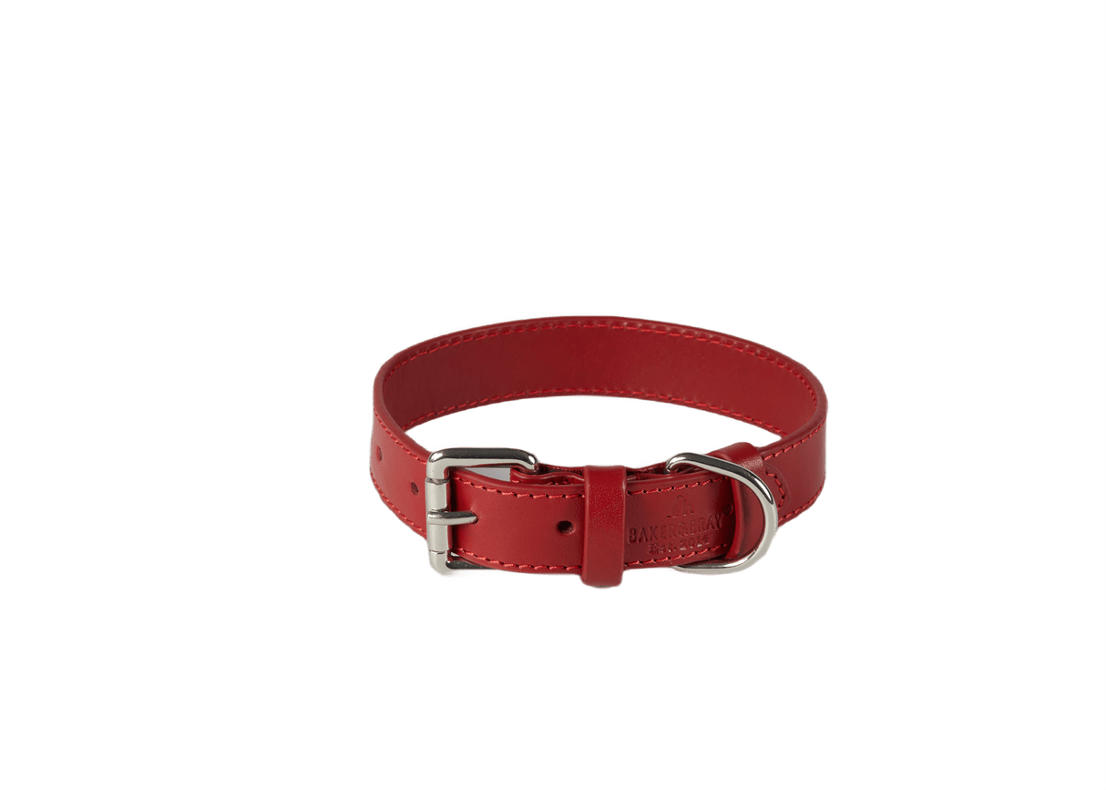 Baker & Bray Rose Eco Friendly Leather Dog Collar, Baker & Bray, XS