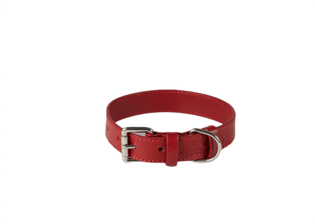 Baker & Bray Rose Eco Friendly Leather Dog Collar, Baker & Bray, XS