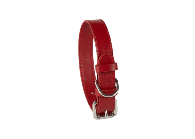 Baker & Bray Rose Eco Friendly Leather Dog Collar, Baker & Bray, XS