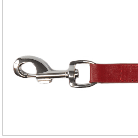 Baker & Bray Rose Eco Friendly Leather Dog Lead, Baker & Bray,