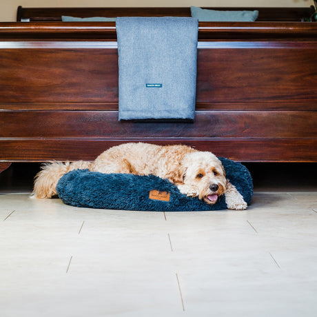 Baker & Bray The Donut - Dark Grey Eco Friendly Luxury Calming Donut Dog Bed, Baker & Bray, Medium (80cm)