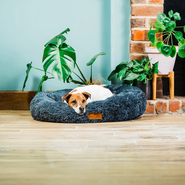 Baker & Bray The Donut - Dark Grey Eco Friendly Luxury Calming Donut Dog Bed, Baker & Bray, Small (60cm)