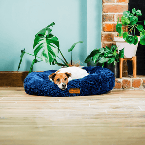 Dog Beds