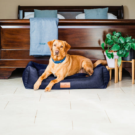 Baker & Bray The Ultimate - Navy Blue, Eco Orthopaedic Luxury Dog Bed, Baker & Bray, XL (128cm)