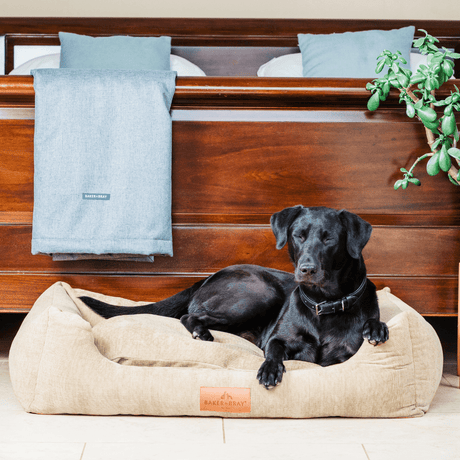 Baker & Bray The Ultimate - Oatmeal Beige, Eco Orthopaedic Luxury Dog Bed, Baker & Bray, L (100cm)