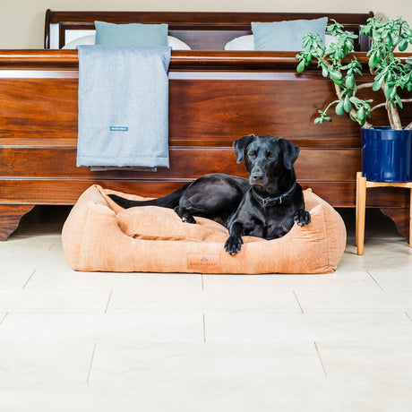 Baker & Bray The Ultimate - Peach Fuzz, Eco Orthopaedic Luxury Dog Bed, Baker & Bray, L (100cm)