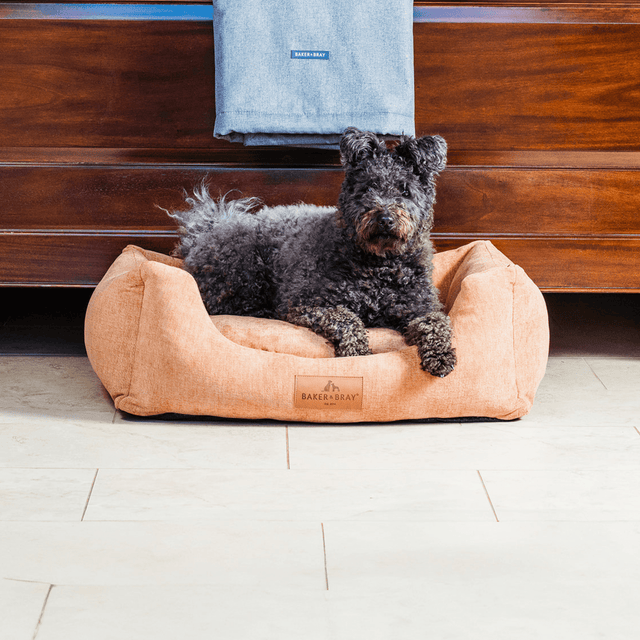 Baker & Bray The Ultimate - Peach Fuzz, Eco Orthopaedic Luxury Dog Bed, Baker & Bray, XS (60cm)