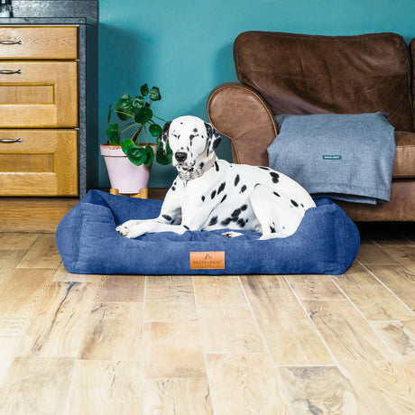 Baker & Bray The Ultimate - Regal Blue, Eco Orthopaedic Luxury Dog Bed, Baker & Bray, L (100cm)