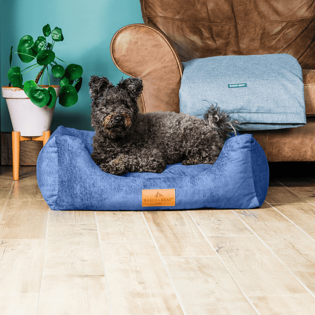 Baker & Bray The Ultimate - Regal Blue, Eco Orthopaedic Luxury Dog Bed, Baker & Bray, XS (60cm)