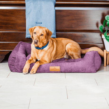 Baker & Bray The Ultimate - Rhubarb Red, Eco Orthopaedic Luxury Dog Bed, Baker & Bray, L (100cm)